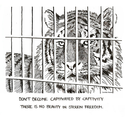 “Captive animals are deprived of everything that is natural and important to them, and as a re