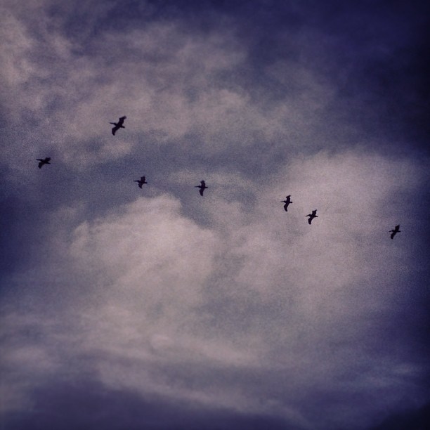 I wanna fly above the clouds