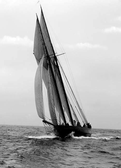 paolo-streito-1264:John S. Johnston. The schooner Ariel, (18 Sept. 1894). 