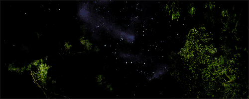 niansomerhalder:  &ldquo;You wanted to show me this meteor shower. So we drove
