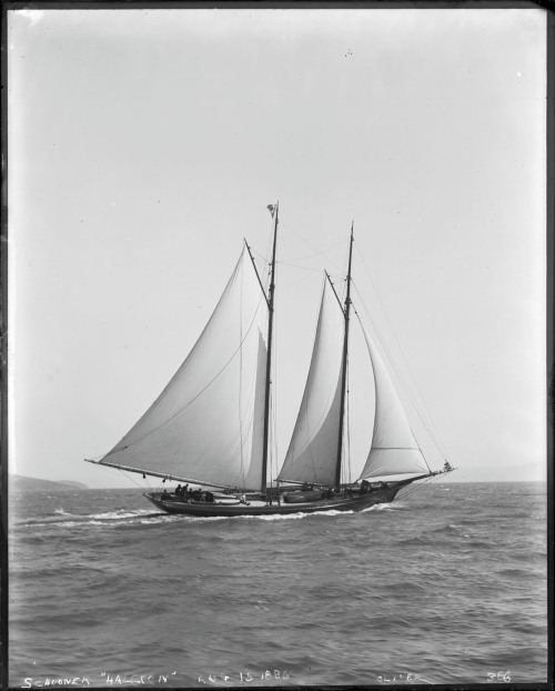 lazyjacks:Side view of Halcyon15 August 1886UC Berkeley, Bancroft Library, Oliver family photograph 
