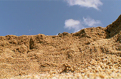 whiny-sugar-glider:  BBC Earth - Africa More gifs of animals. 