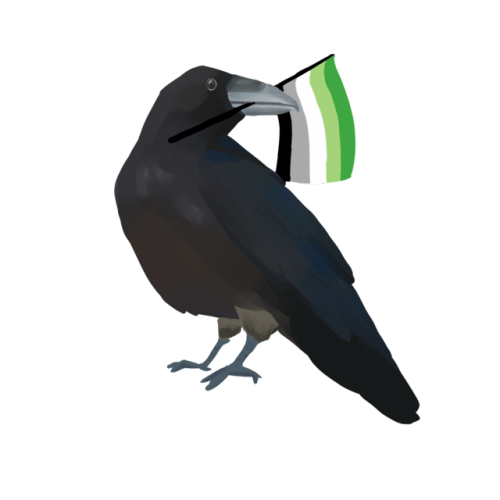 aro-culture-is:cadiacat:Pride ravens because fall is gay! They love and respect you as well! Wo