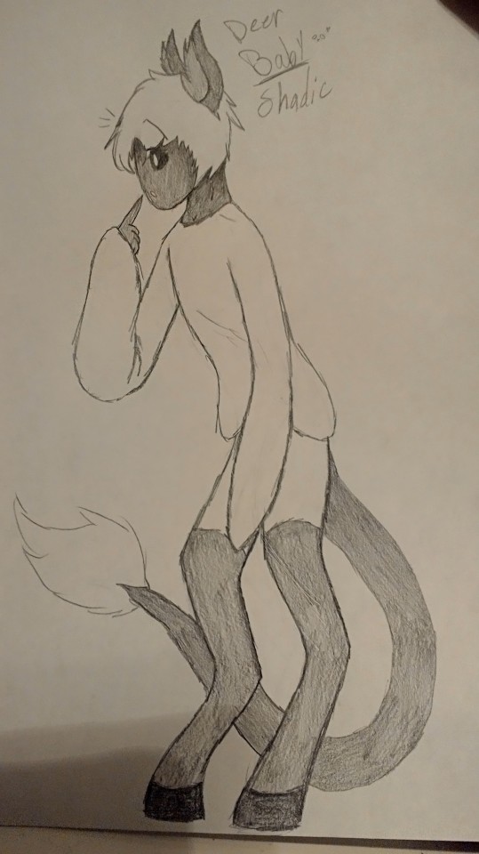 This Is Part Of A Species I Made Called Shadic, And This Is Th Deer Variant Of Th Species