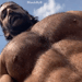 hairyguyworld:Pablo Perroni - compilation