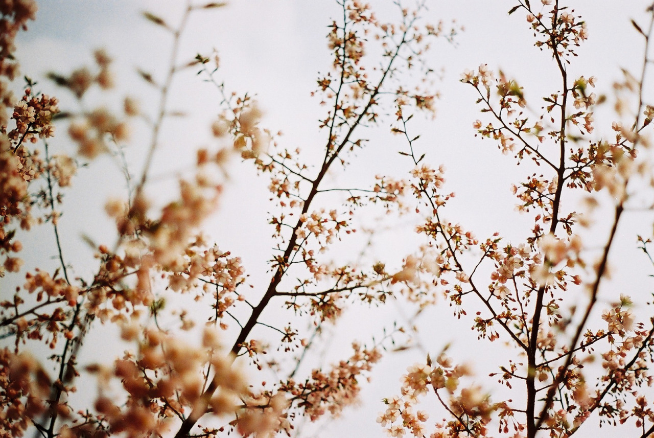 cuprikorn:   	Untitled by pocky poki poki via Flickrplease don’t remove credit,