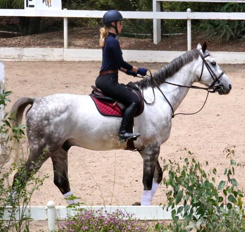 celebs-dailyus:  Iggy Azalea riding a horse in Los Angeles - May 27 