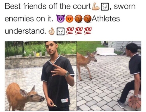 icedyuris:WHY DOES TH E DEER HAVE A DEFENSIVE STANCE IMTHAT DEER READY TO DIE BEHIND THIS SHIT 