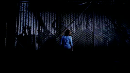 rottenwasp:Ladies of The Walking Dead appreciation | Deanna Monroe                “I’m lucky, Michon