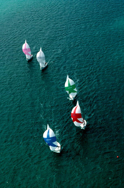 thvtslife:  Aerial view of “Sunfish&quot; sailboats: Key West, Florida by State