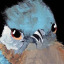 thecrazedramblingsofaweirdbird