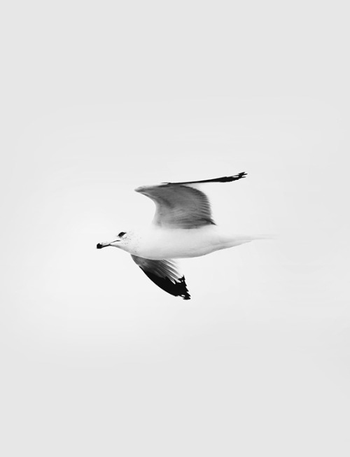 aesthetic i land | Tumblr