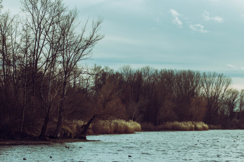 A day on the Lake   |   © l   |   ιηѕтαgяαм