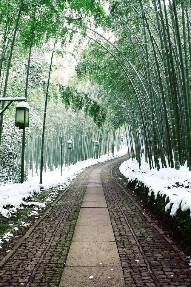 zekkei-beautiful-scenery:  Japan 日本の絶景 Zekkei Beautiful Breathtaking Scenery