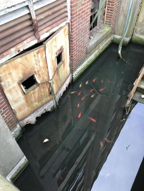 abandonedandurbex: Old naval base in Philadelphia has an abandoned warehouse with a flooded basement