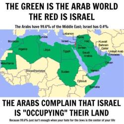 anarchyinblack:  mary-queen-of-thots: Israel also has the aid of every major Western power and a stable economy reached after years of aforementioned aid which has given us little in return. Israel is not the underdog here.  New York City has over 100,000