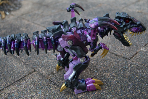 kyuofcosmic:TOMY Bio-Tyranno; Subis Mogul edition.Buoyed by the recent success with my Bio Megarapto