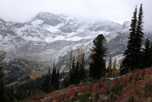 90377:Maple pass loop @ 10/7/2018 by zlf0526