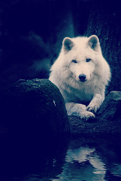 Ours is the Fury
