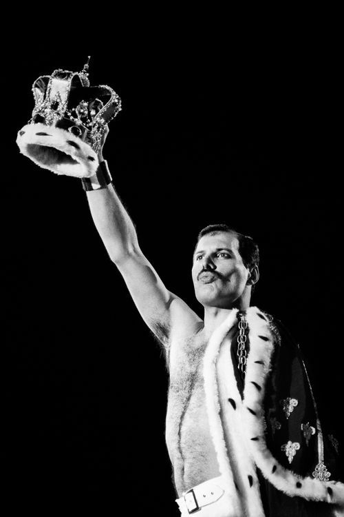 gregorygalloway:Freddie Mercury (5 September 1946 – 24 November 1991)