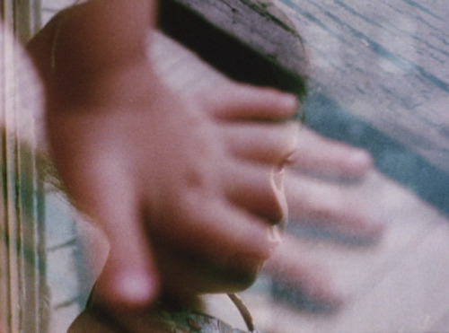 sesiondemadrugada:    Diaries Notes and Sketches (Jonas Mekas, 1969).