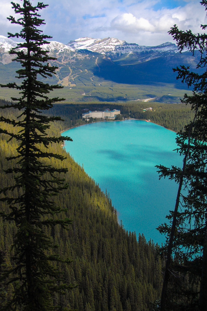 brutalgeneration:  Looking down on Lake Louise (by Lidija Kamansky) 