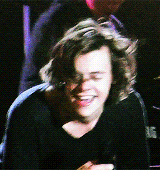 blamestyles:  Harry Styles 'Hair Porn' - South America (WWA Tour) 