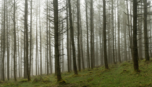 stephenearp:More parallel lines