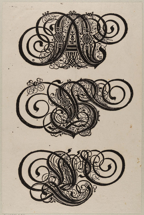 design-is-fine:Katharina Dietrich &amp; Paulus Franck, Dekorative Letters A, B, C, early 17th ce