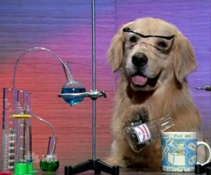 officialwhitegirls:  2000yr:  What the hell is the science side of tumblr   