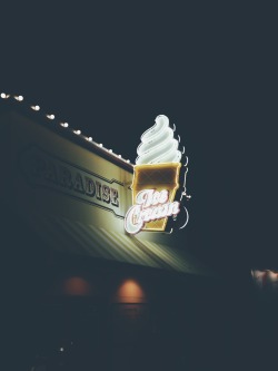 sassafranski:  Disney lights