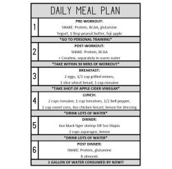 Sinslife:i Made This Very Neurotic Daily Schedule Lol Of My Meals And Supplements!!