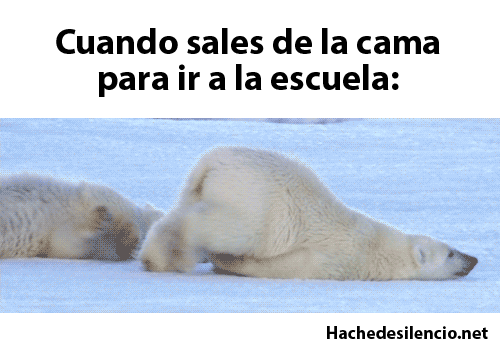 Hache de silencio