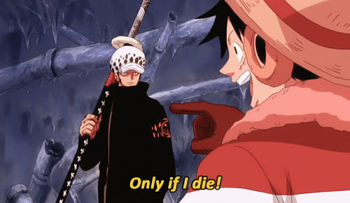rroronoazoro:  nalushipperblog:  beif0ngs:   Law every time Luffy opens his mouth to speak:    @rroronoazoro this post is gold!  i. need. this.
