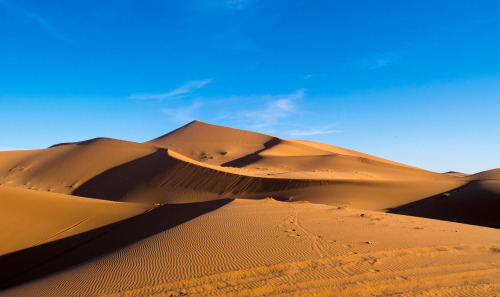 Altre dal deserto.Marocco 2015