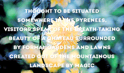 sink your roots into the rock, and face the wind.