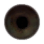 mizaska:was browsing trough half life 2s texture files and i thought these eye textures could help a
