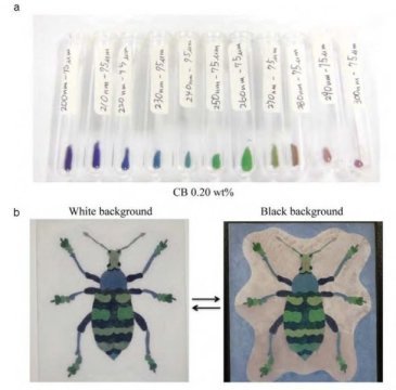 Recreating the chameleon: Material mimics color changes of living organismsResearchers at Nagoya Uni