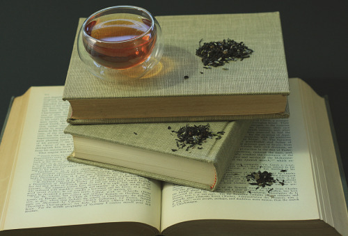 Now introducing Second Breakfast, an adventurous blend of organic English Breakfast Tea, Lavender, a