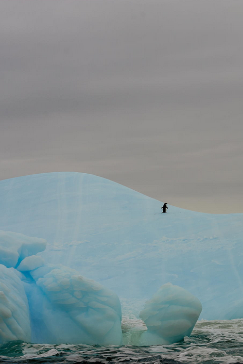 Feeling Lonely ~ By Jacques Massicotte