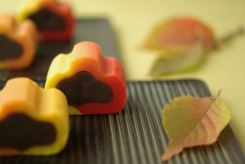 nelyo3: Wagashi - Japanese sweets : Autumn 