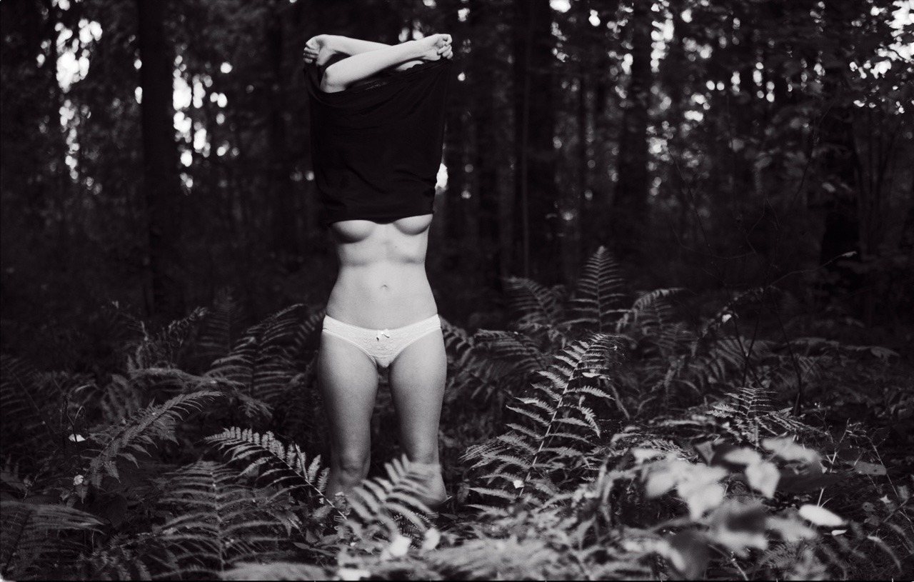 sergegavrilov:  Forest story