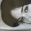 heatherisfrommars