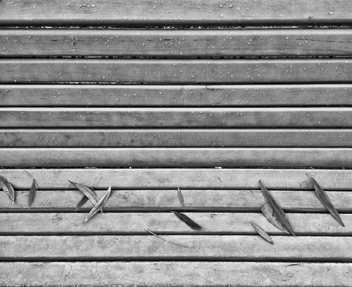 Black and White Challenge Day 5 Rules are to post one black and white photograph for 7 days.  N