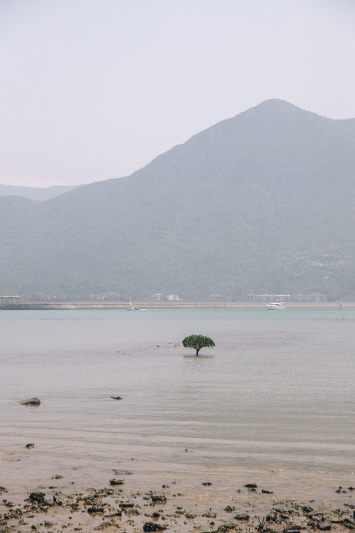 muggy afternoons in tai o - april 2019