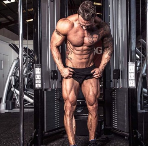 Adonis Files