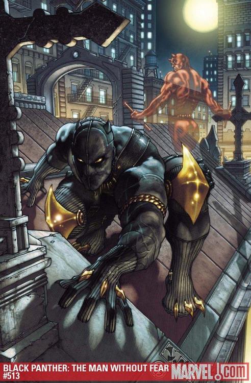 alotofsuperheroes:  Inge’s endless list of favorite comic characters T’Challa aka Black Panther That madman has imprisoned me as a lesser creature. That was his first mistake