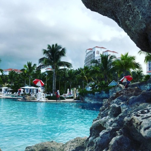 Take a dip in one of the many pools of the Baha Mar #luxuryvacation #grandhyattbahamar #pool #beachv