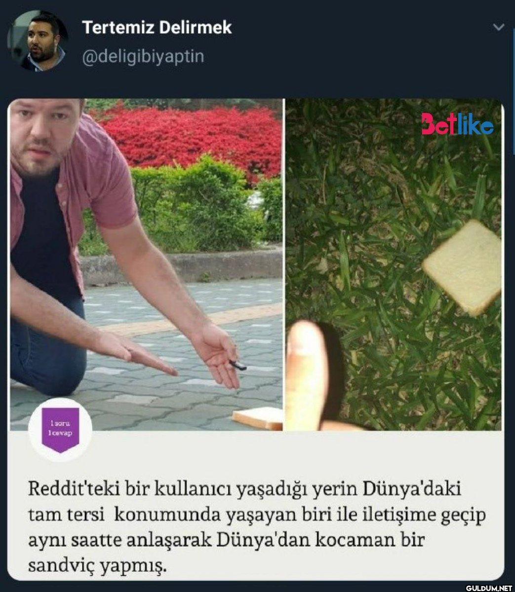 1 soru Icevap Tertemiz...