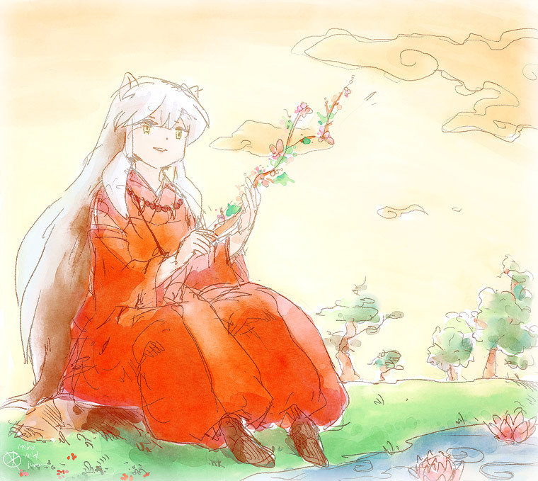 mist-dancer:犬ログ②　140608～140922